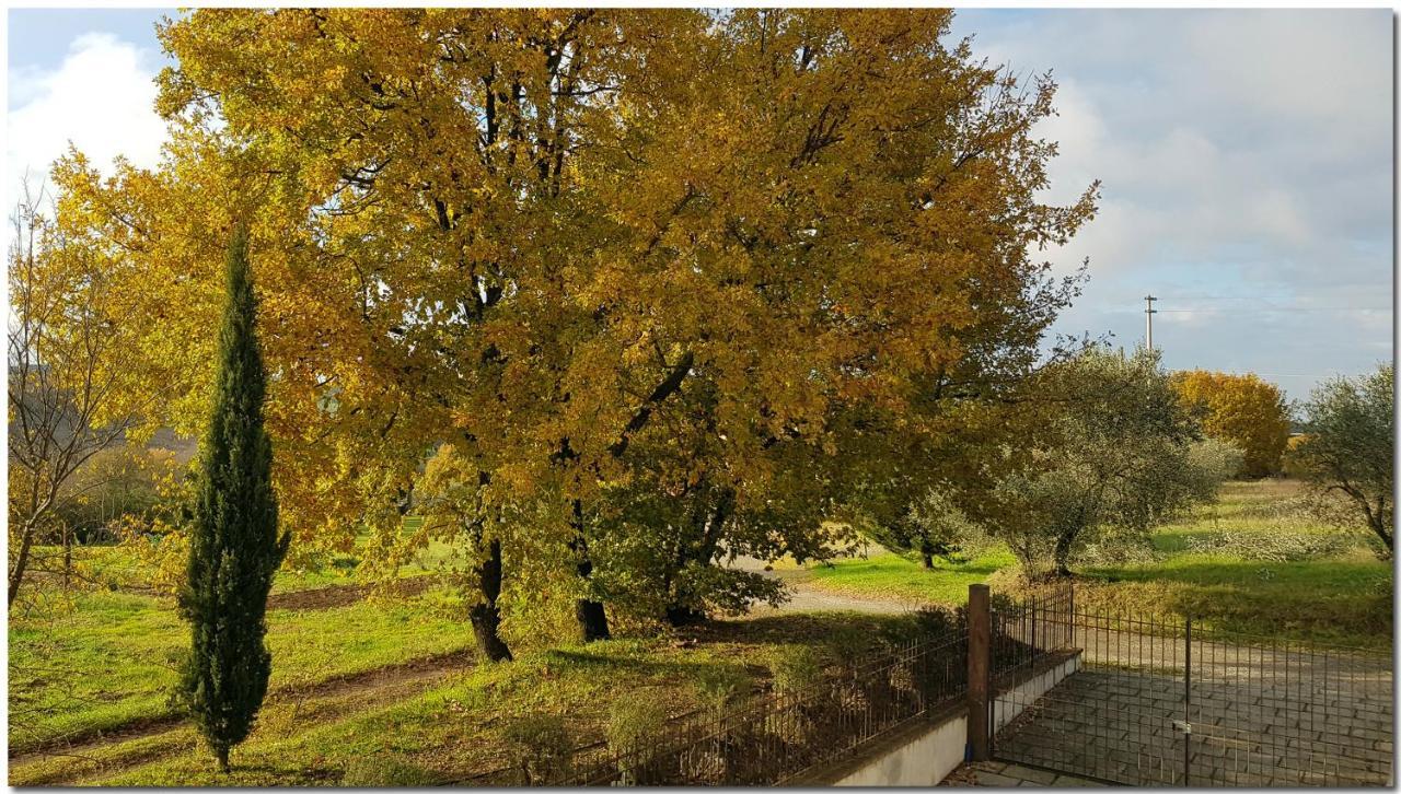 Villino Cortona - Casa Vacanze A Cortona Con Piscina Privata Wifi, Ac - Toscana - Nelle Vicinanze Perugia, Assisi, Montepulciano, Pienza, Siena ภายนอก รูปภาพ