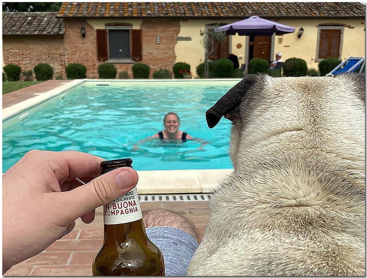 Villino Cortona - Casa Vacanze A Cortona Con Piscina Privata Wifi, Ac - Toscana - Nelle Vicinanze Perugia, Assisi, Montepulciano, Pienza, Siena ภายนอก รูปภาพ